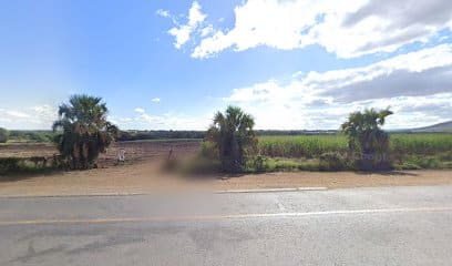 panoidGZ2 aPkYwPICboUM9kjTnAcb clientsearch.gws prod.gpsw408h240yaw335.70566pitch0thumbfov100dummy 2