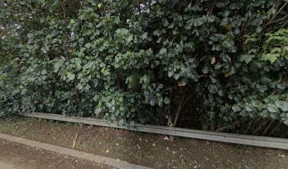 panoidOnnn dXy4psARx yT PN0Acb clientsearch.gws prod.gpsw408h240yaw176.70064pitch0thumbfov100dummy