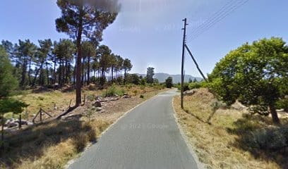 panoid 1QJt X1dFfEf17eYlmq1Qcb clientsearch.gws prod.gpsw408h240yaw65.763985pitch0thumbfov100dummy