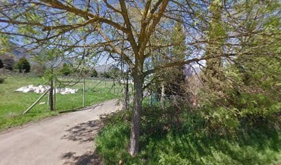 panoidoxqnjc5XE9fVqNHTHfwSsgcb clientsearch.gws prod.gpsw408h240yaw139.27492pitch0thumbfov100dummy
